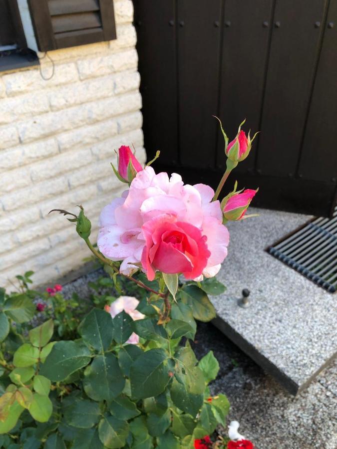 Anitas B&B Stockholm/Vaellingby 外观 照片